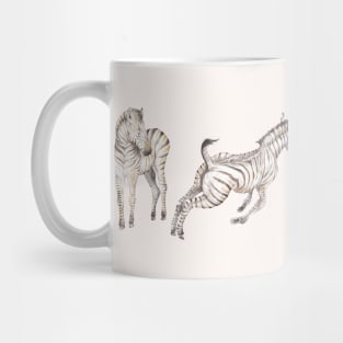 Zebra foals playing Mug